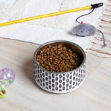 Red, White and Blue Mini Surfboards Pet Bowl - Extremely Stoked® Pets