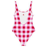 Cherry Red, White and Pink Preppy Gingham One Piece Women's Swimsuit