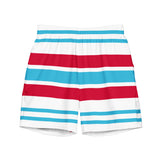 Aqua Blue, White and Red Beach Stripes Men's Swim Shorts